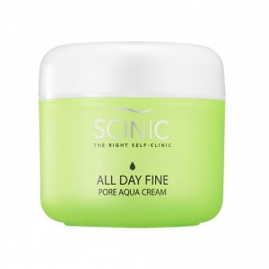 All Day Fine Pore Aqua Cream product image