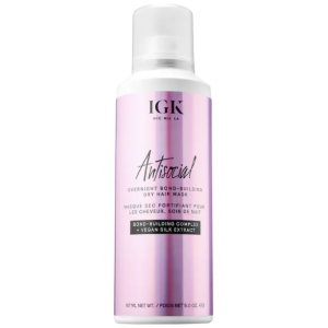 Antisocial Overnight Bond-Building Dry Hair Mask product image