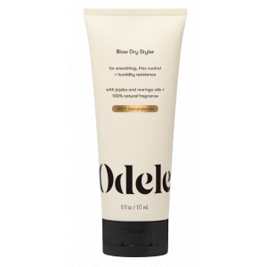 Blow Dry Styler product image