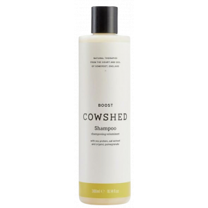 Boost Shampoo product image