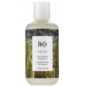 Cactus Texturizing Shampoo product image
