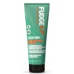 Clean Mint Shampoo product image
