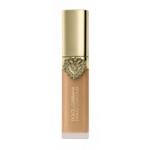 Everlast Concealer product image