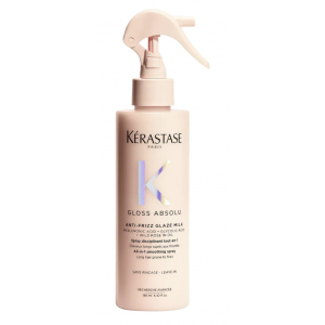 Gloss Absolu All in One Anti-Frizz Spray product image