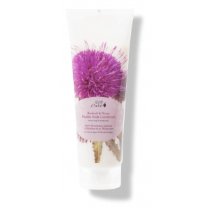 Healthy Scalp Conditioner - Burdock and Neem product image