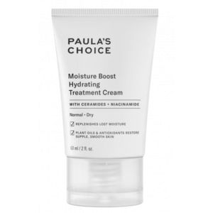 Moisture Boost Hydrating Treatment Cream product image