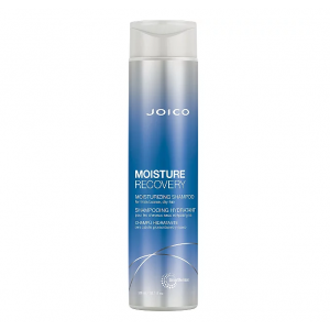 Moisture Recovery Moisturizing Shampoo product image