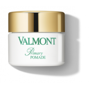 Primary Pomade product image