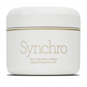 In-Depth Analysis and Overview of GERnétic Synchro