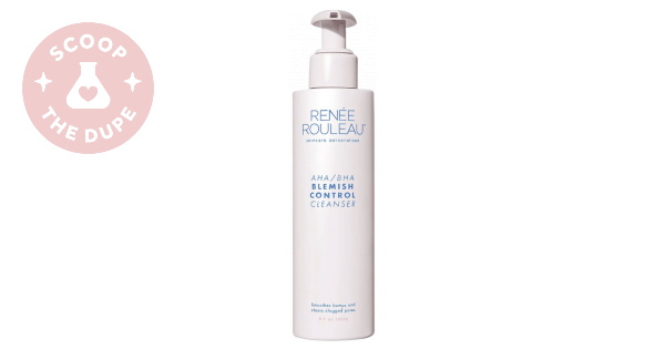 In-Depth Analysis and Overview of Renée Rouleau AHA/BHA Blemish Control ...