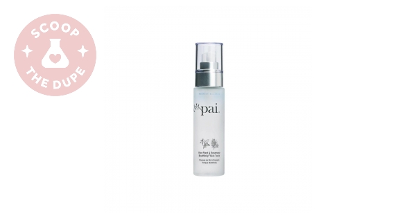 Alternatives comparable to Rice Plant & Rosemary BioAffinity Toner by Pai - Search | SKINSKOOL