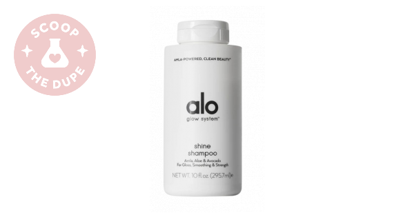 In-Depth Analysis and Overview of alo Shine Shampoo