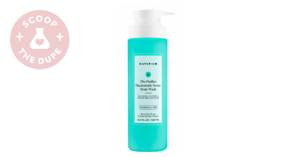 32 Best Naturium The Purifier Niacinamide Serum Body Wash Dupes 32 Best Naturium The Purifier Niacinamide Serum Body Wash Dupes